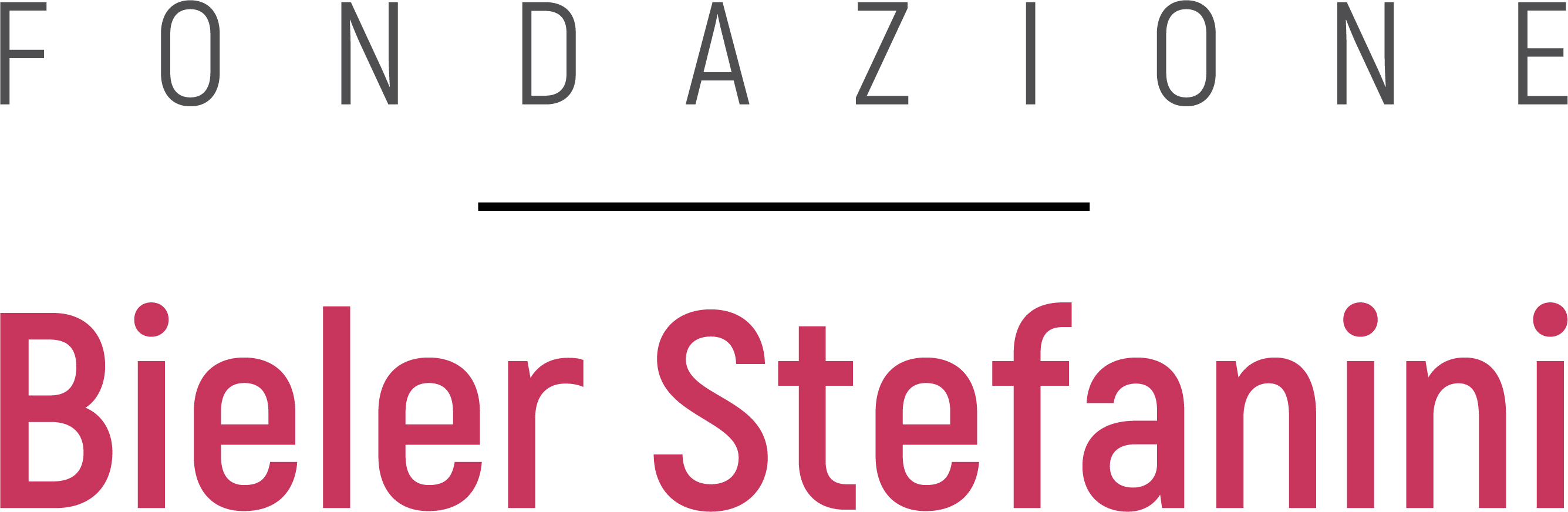 Fondazione Bieler Stefanini